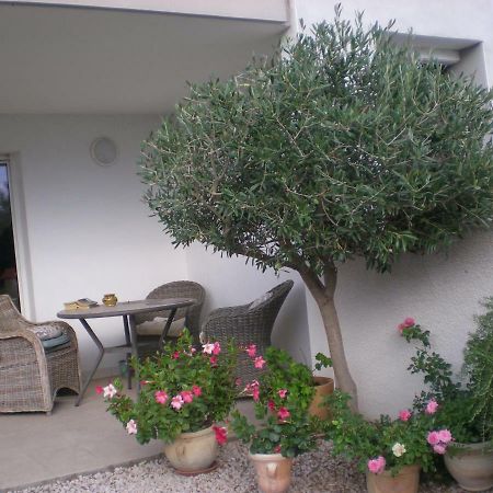 Appartement La Scribote à Marseillan  Extérieur photo