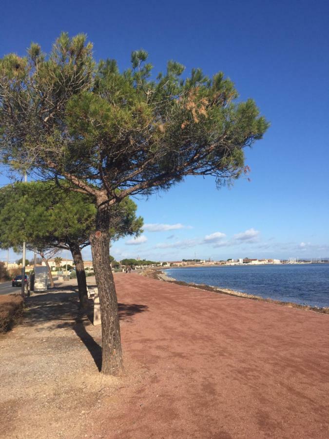 Appartement La Scribote à Marseillan  Extérieur photo